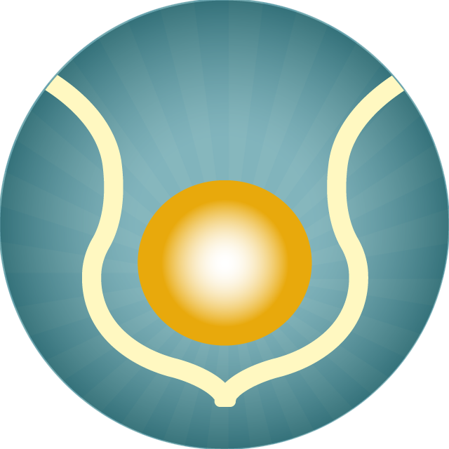SBF grail sunburst soul body fusion